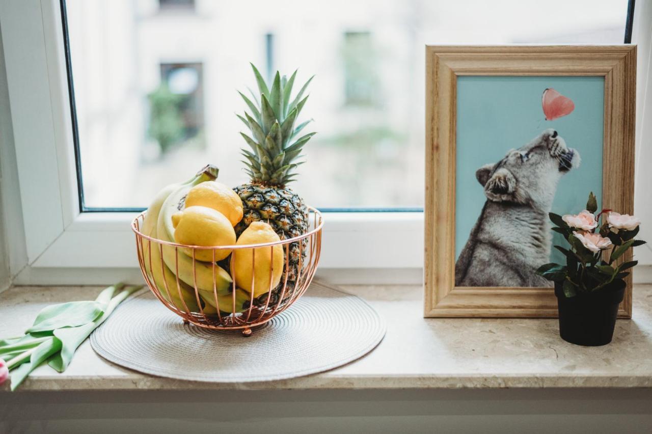 Fatcat Apartments Krakow Ngoại thất bức ảnh