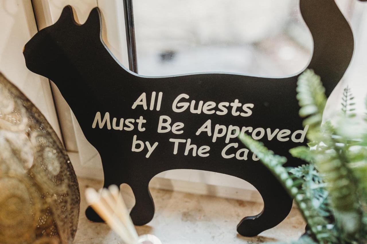 Fatcat Apartments Krakow Ngoại thất bức ảnh